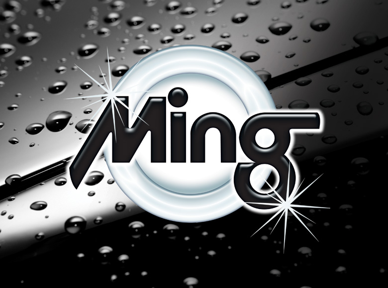 Logo Design and Branding - Ming Shine Team
